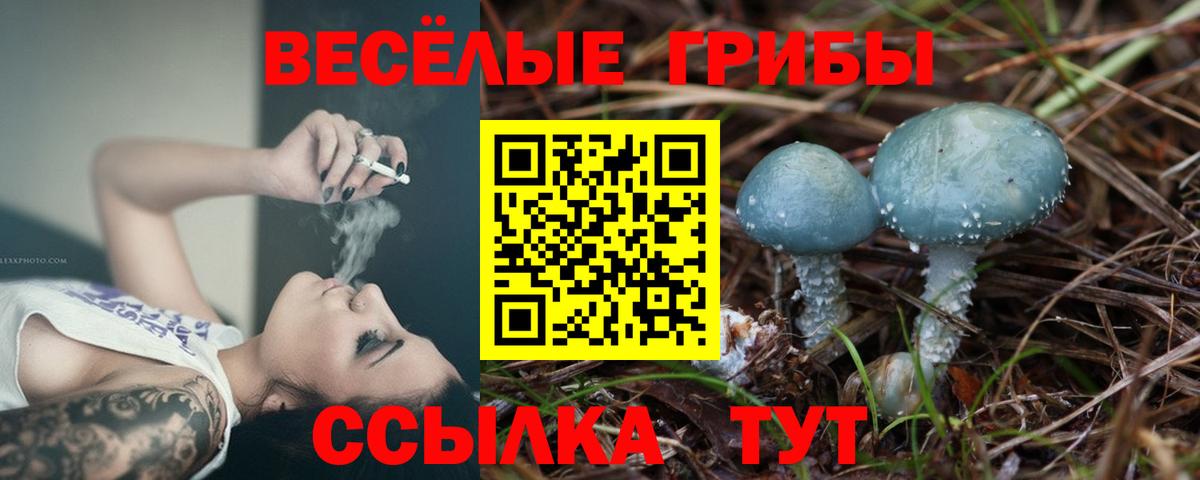 Абинск  Галлюциногенные грибы Psilocybe  Вход с VPN  Галлюциногенные грибы мицелий 